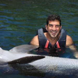 dolphin content-image